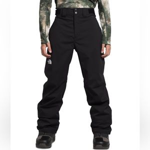 The North Face Men's Freedom Insulated Snow Pants